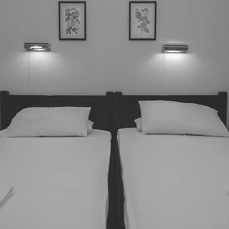 Fokion Studios 3*